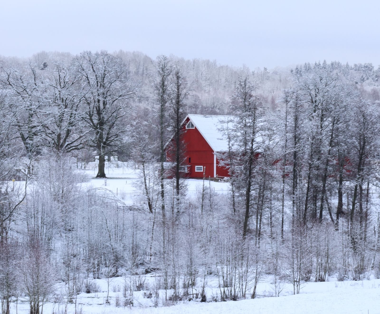 Rødt hus i snødekt nordisk landskap